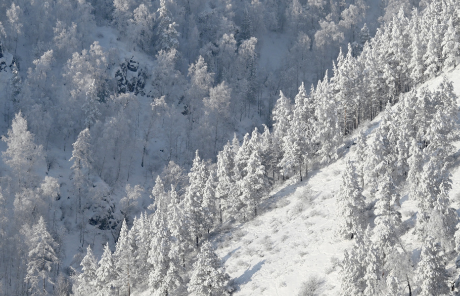    Илья Наймушин/РИА Новости