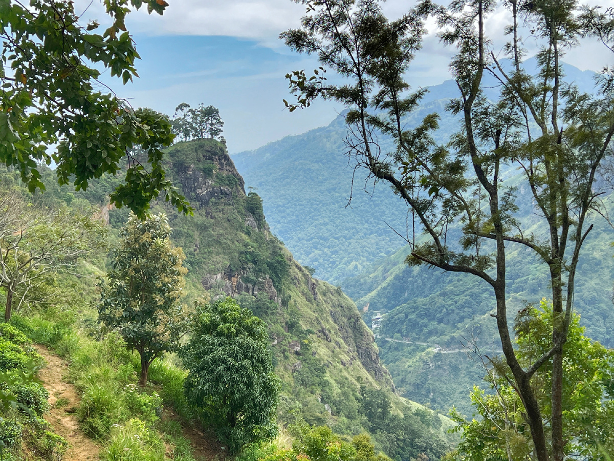 Вид по пути к малому пику Адама. Элла, Шри-Ланка. Фото автора 