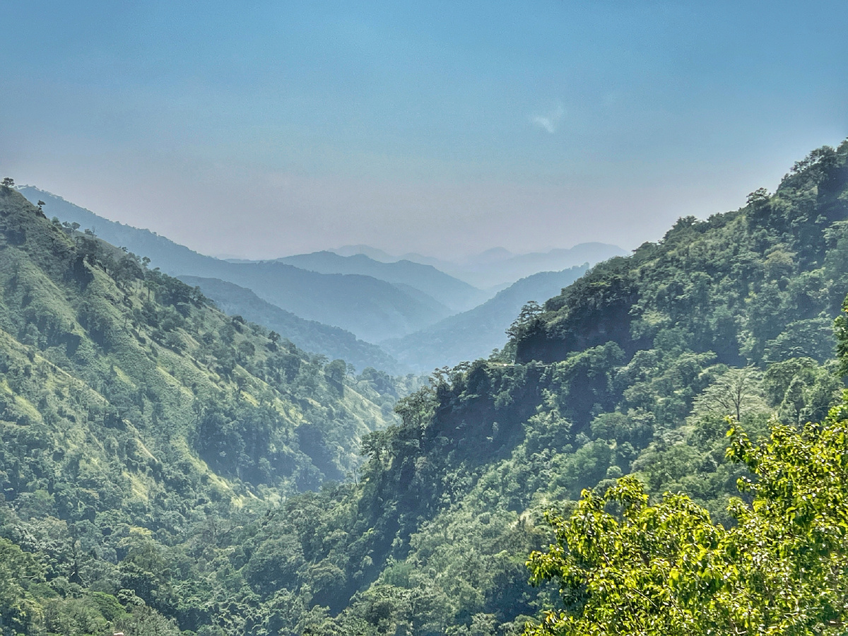 Элла, Шри-Ланка. Фото автора 