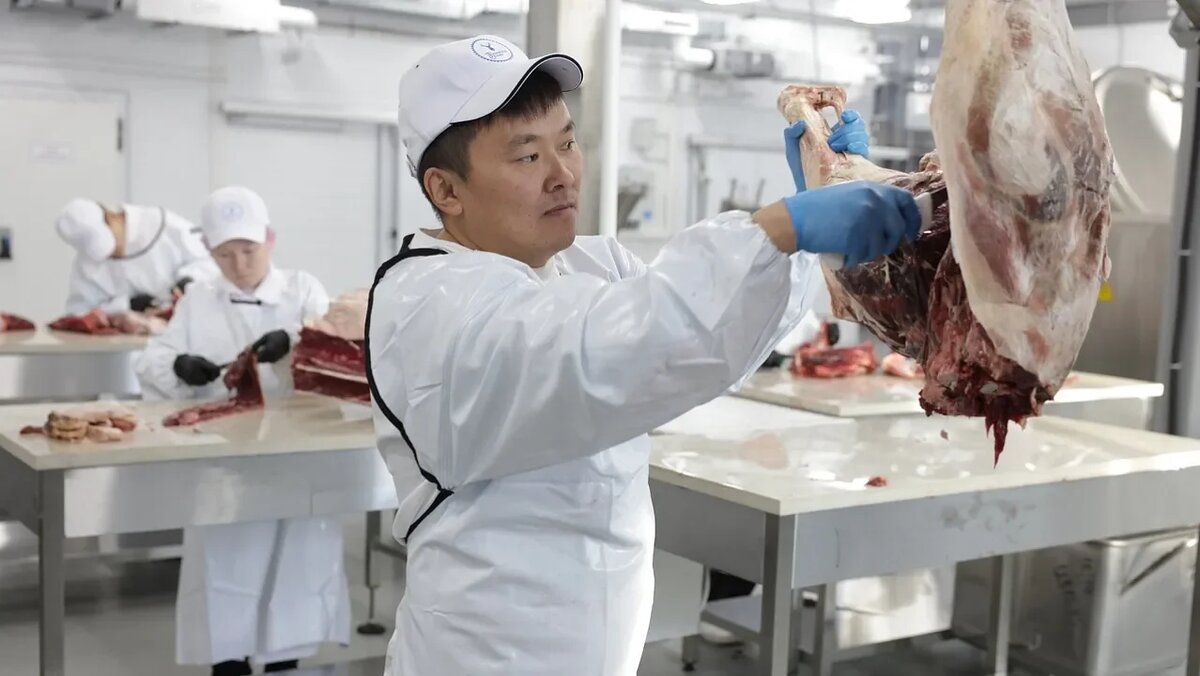    Сегодня на Ямале работают 14 предприятий по производству продукции из оленины. Автор фото Роман Ищенко / Официальный сайт Правительства Ямало-Ненецкого автономного округа.