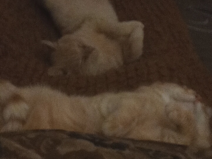 Как я живу. Немного обо всём