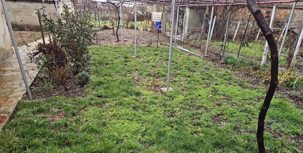 Травяная поляна