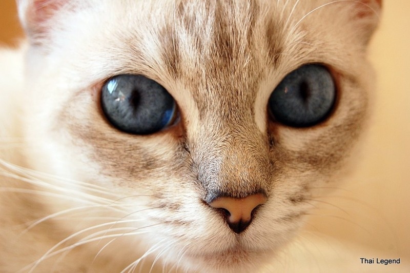 Где меня еще можно найти