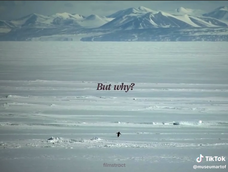 Кадр из фильма Вернера Херцога / соцсети / @museumartof