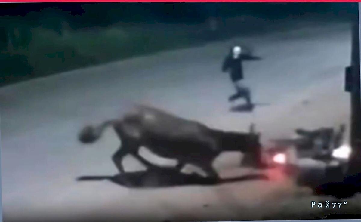   Фото - скриншот с видео, снятого на месте происшествия