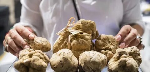 Белые трюфели Альба