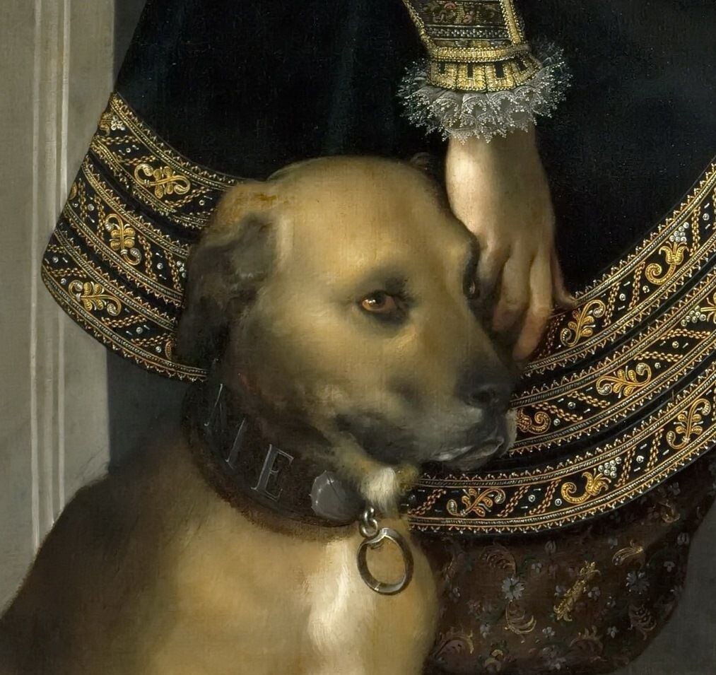 Голова мастифа