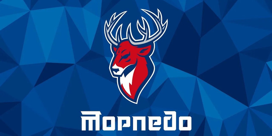 Ближайшие игры Торпедо