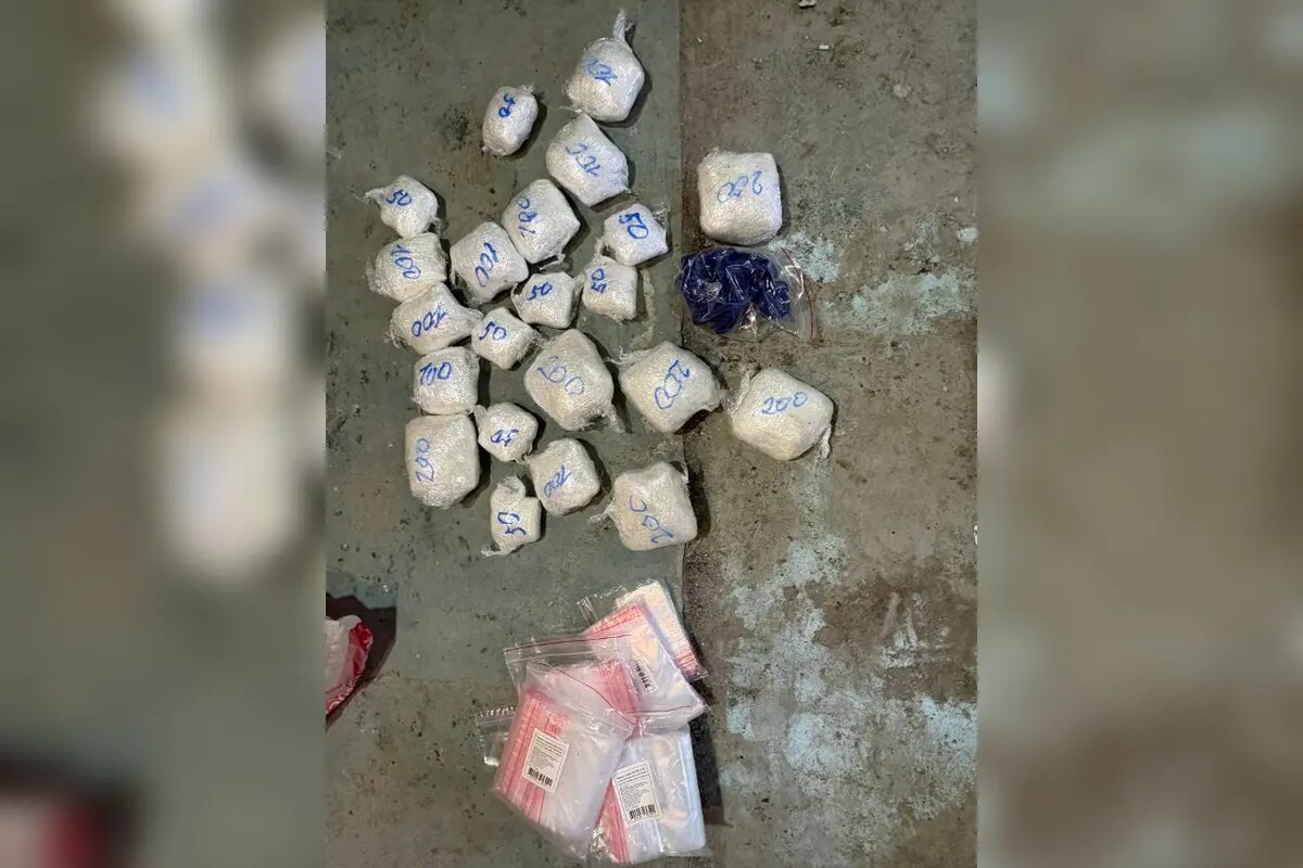    Фото: ГУ МВД по Петербургу и Ленобласти