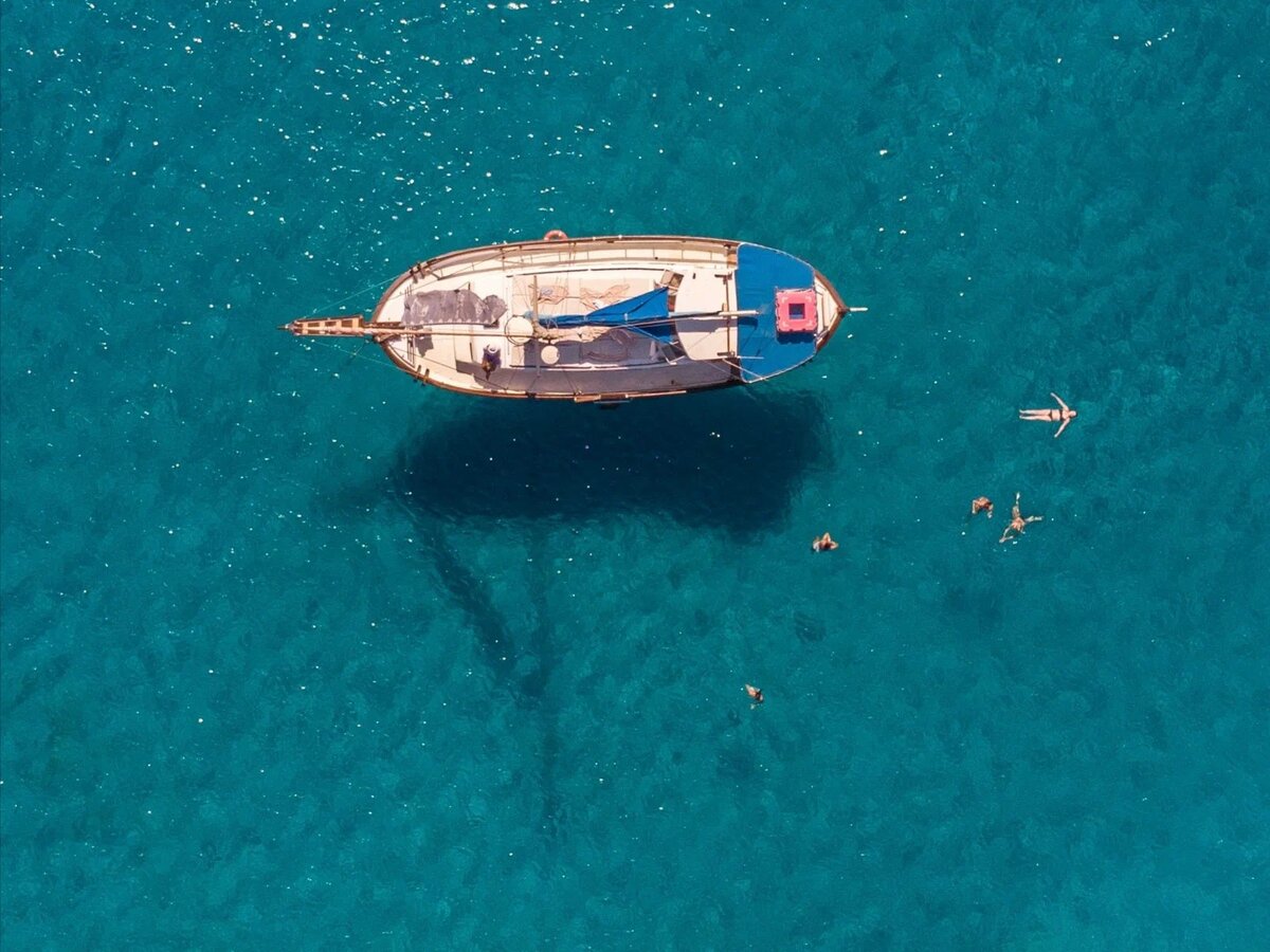 Фото: Daryl Bleach / Unsplash