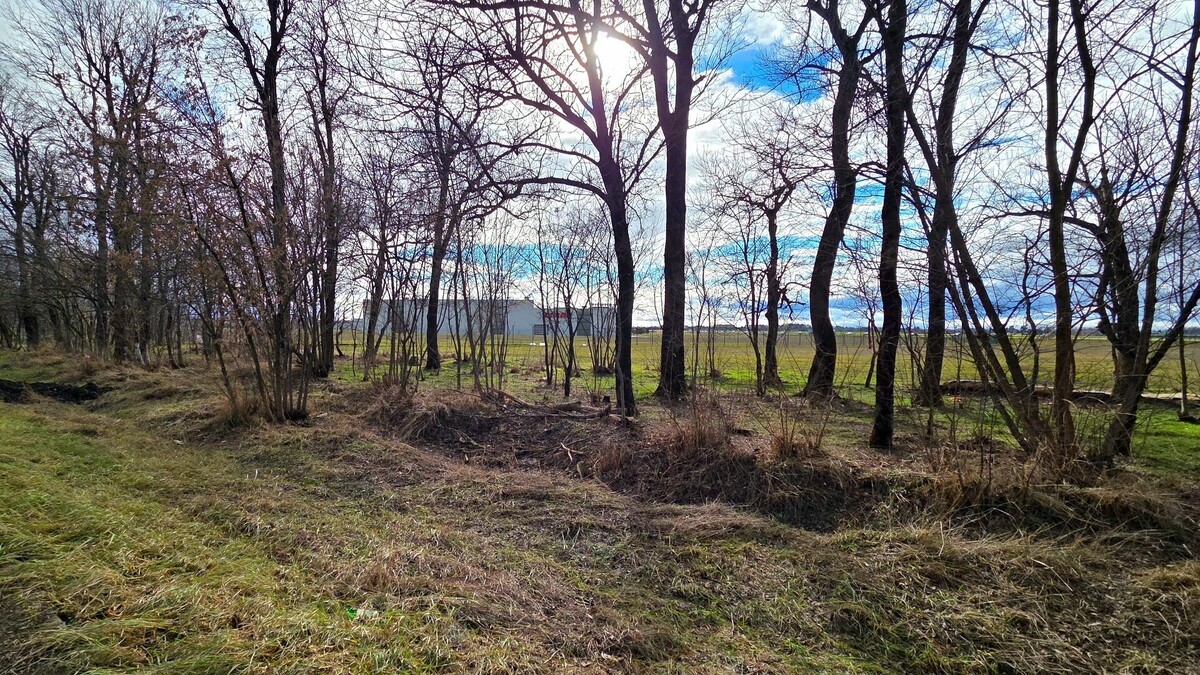    Погода в Краснодаре жаркая, но с 1 февраля опять зима — снег и мороз   kubanpress.ru