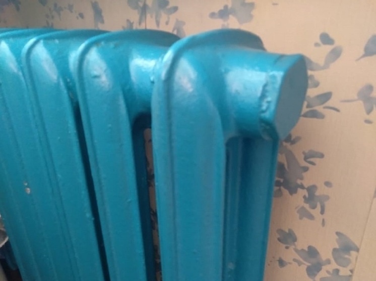     Фото: Денис Евстафьев / МК-Урал