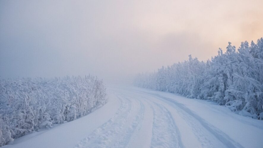    Фото: создано ИИ