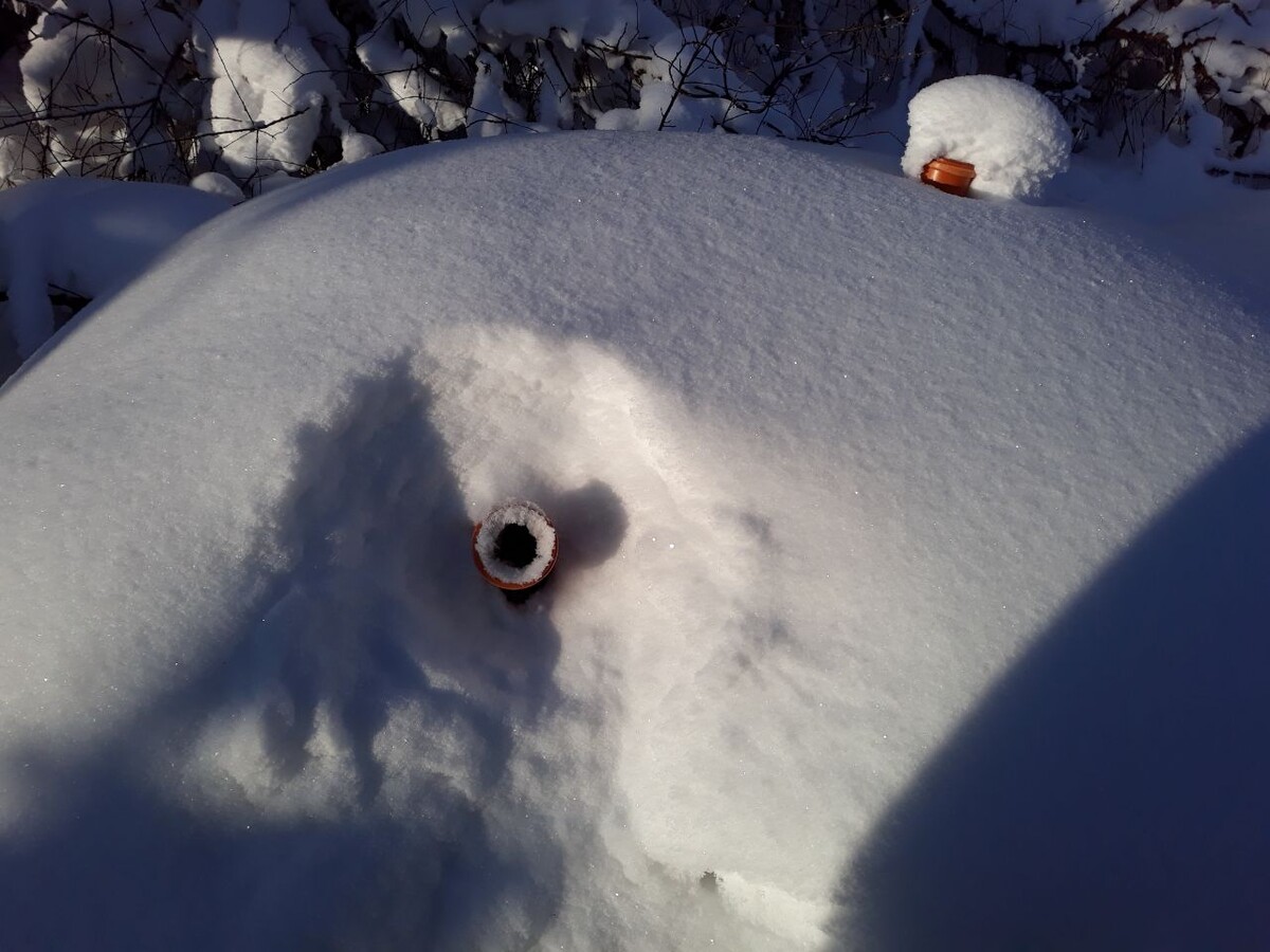 Впускная труба при -20 стала обмерзать изнутри. До -15 не обмерзала. Фото автора