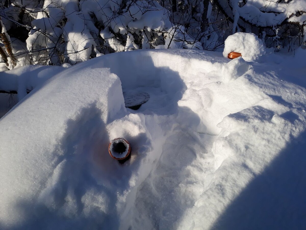 Снегу в этом году много. Фото автора