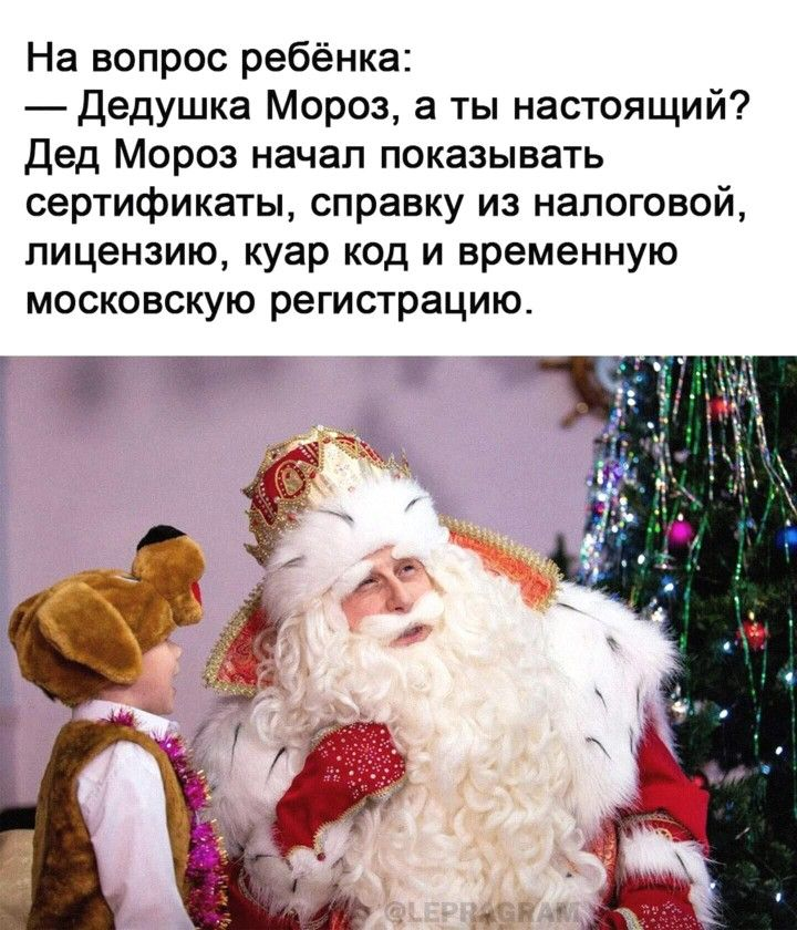 Фото из Яндекса. Спасибо автору. 