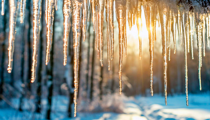 1 февраля отмечается Макар Весноуказчик: если в этот день капель, то весна будет ранней. Фото: shedevrum.ai