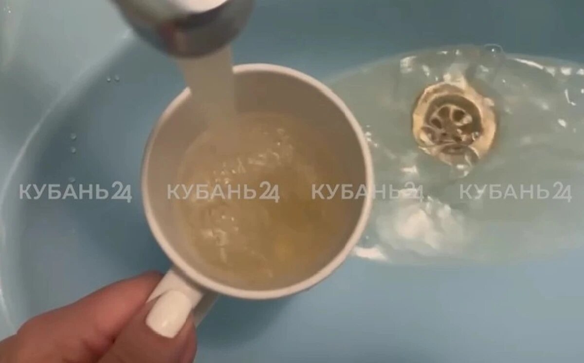    Фото «Кубань 24»