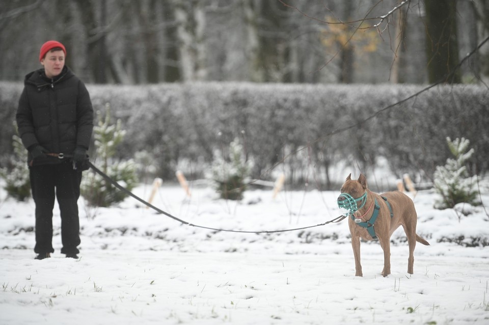    Фото: архив КП