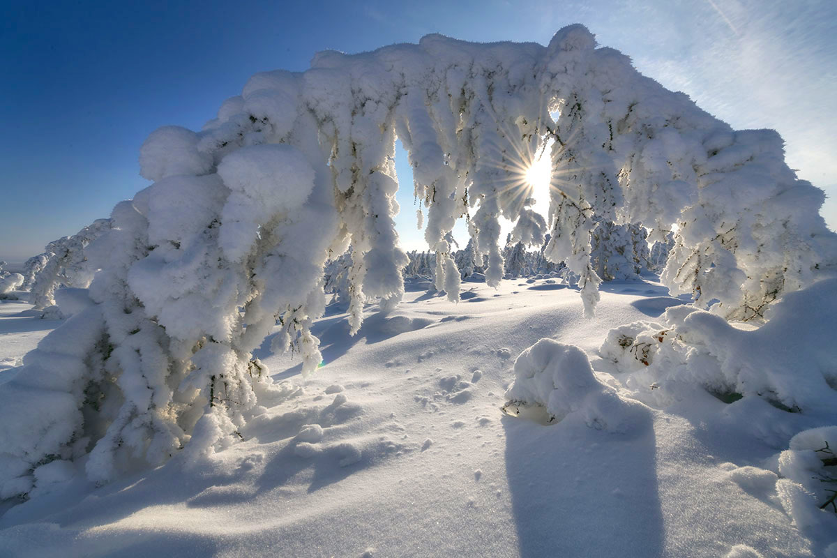 Фото: Сергей Карпухин / GeoPhoto