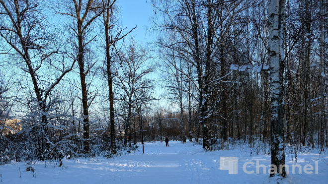 Фото: 47channel / Нина Вересова