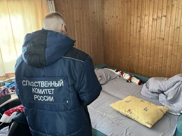     Фото: СК по Амурской области