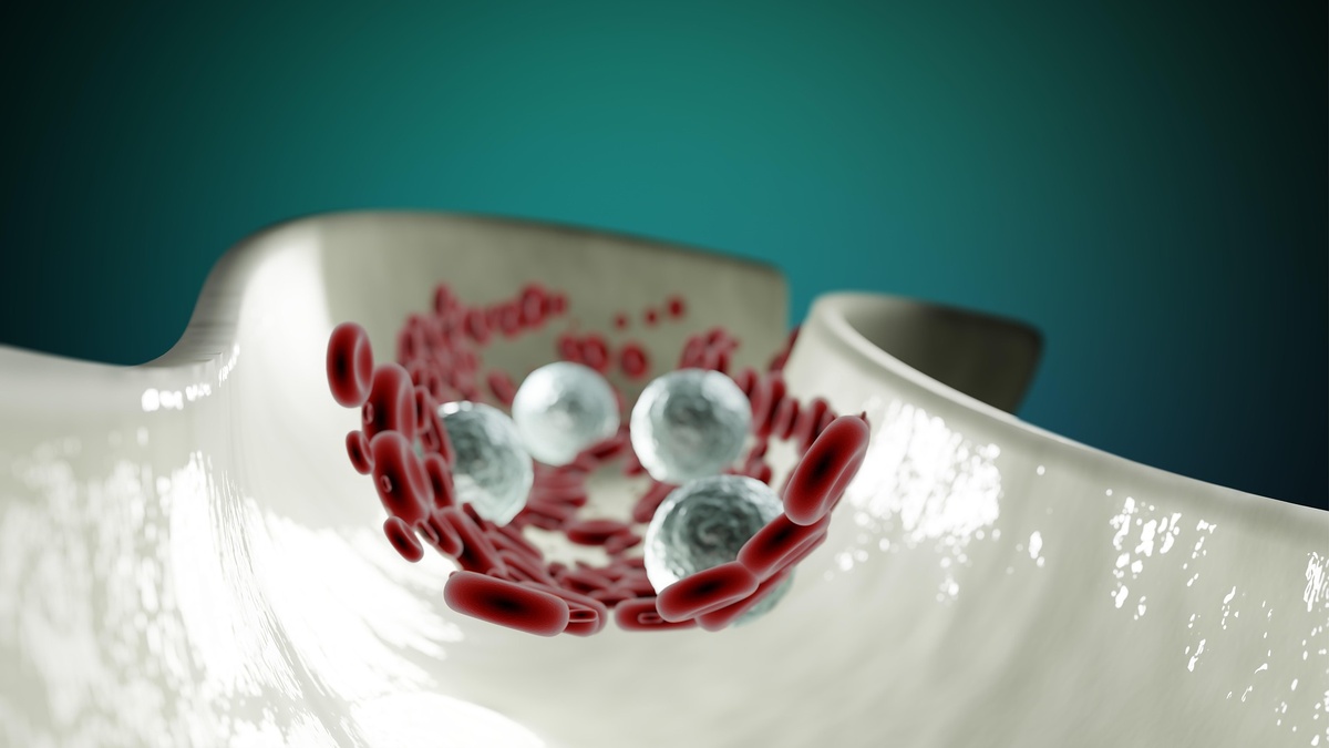    Фото с сайта pixabay.com