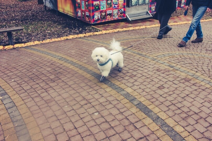    Фото: архив «МК в Калининграде».