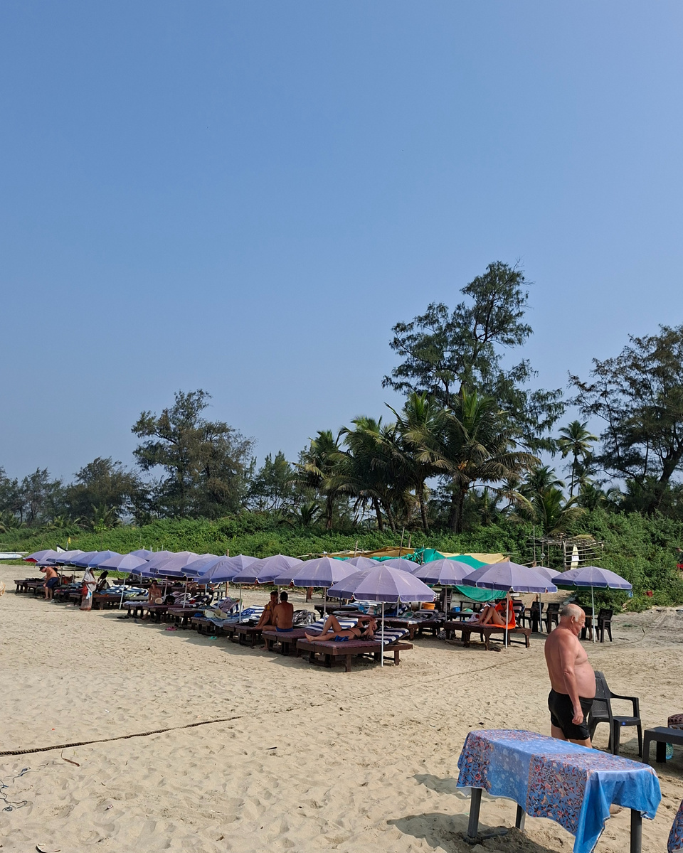 Вот теперь мы здесь залегли 