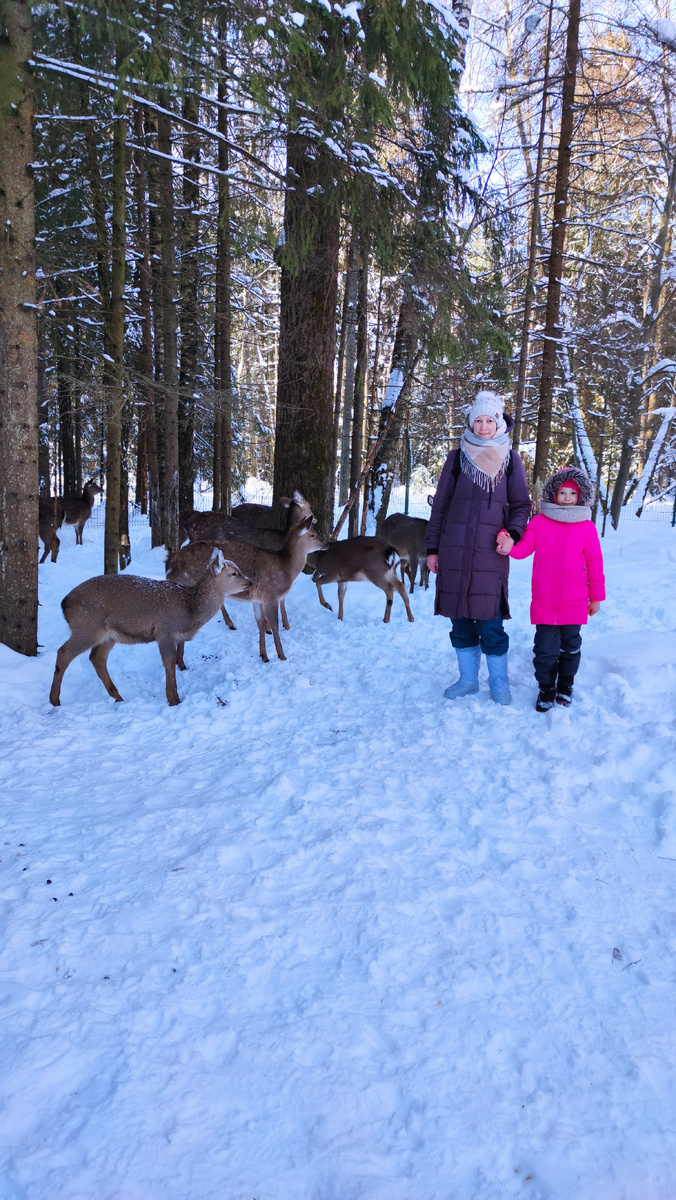 Зоопарк в Арт-усадьба Веретьево