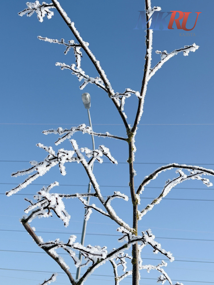     Фото: "МК в Калуге"