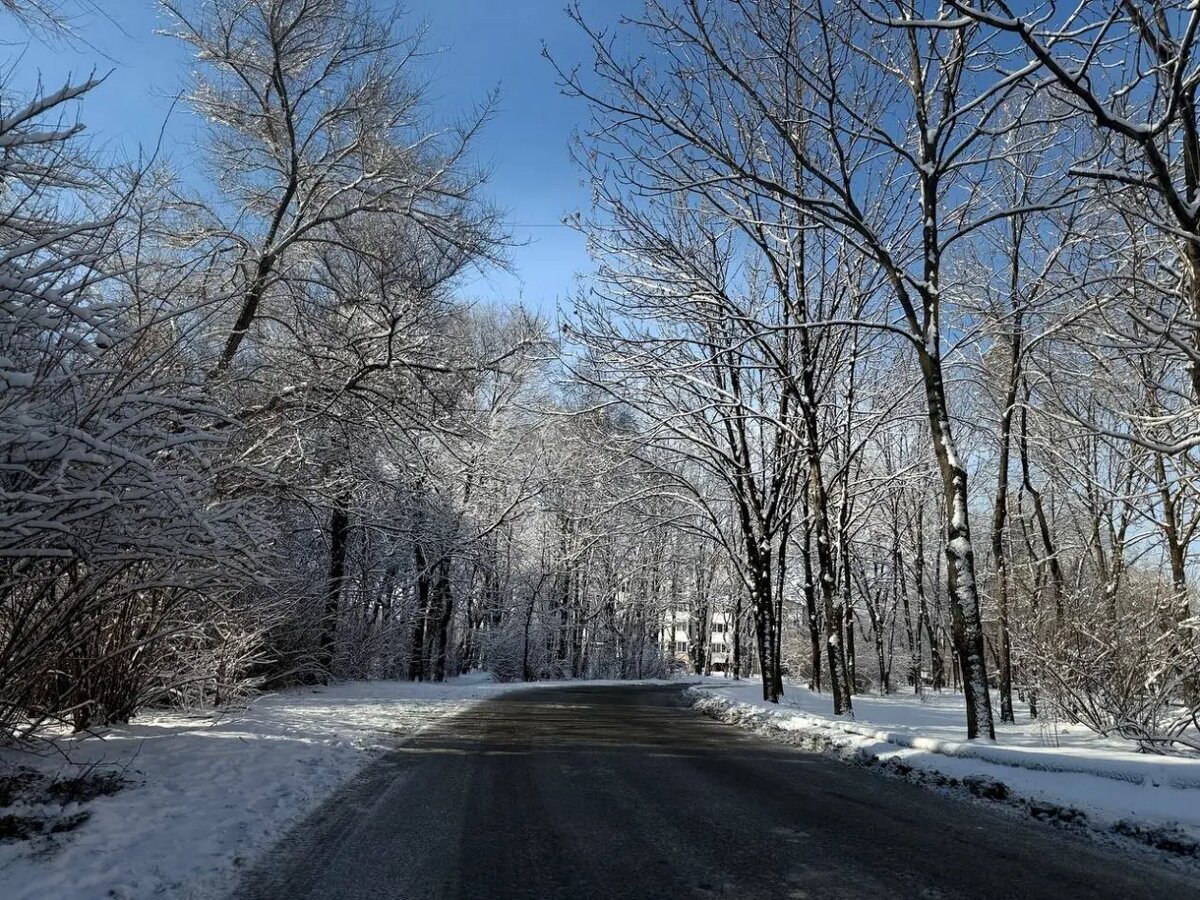    Фото: primamedia.ru Оливия Ильинская