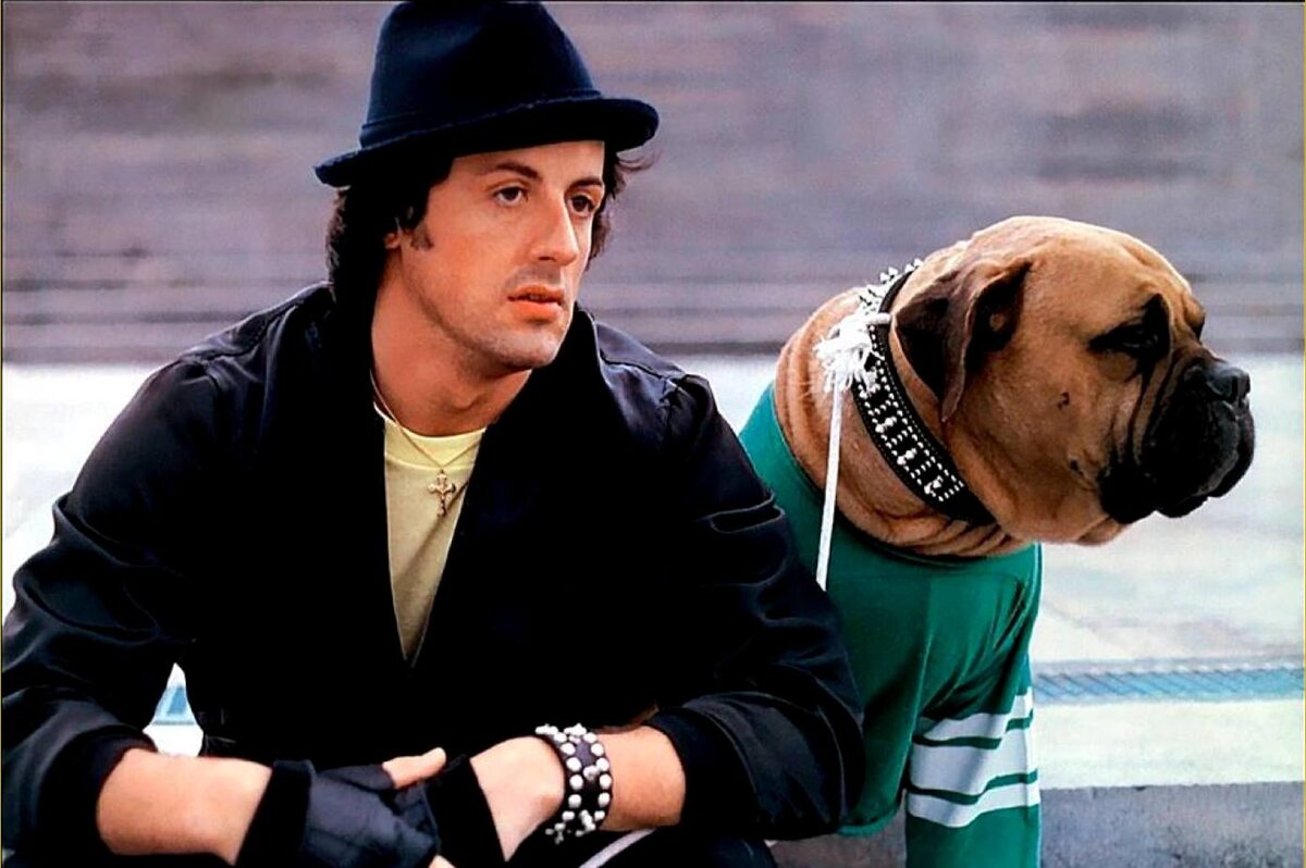 Молодой Сталлоне 