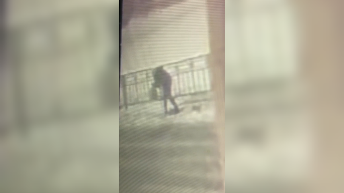 Автор: В. Панченко