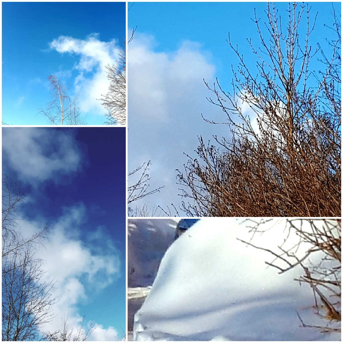 Коллаж автора 31.01.2026г.