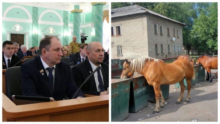 Брянская областная Дума объявила крестовый поход против цыганских лошадей