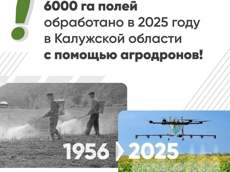     Фото: Александр Ефремов/ТГ