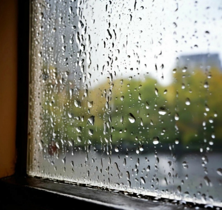 Картинка из интернета.