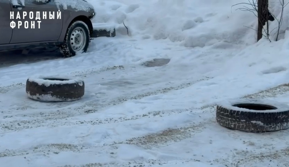 Фото: Народный фронт Марий Эл