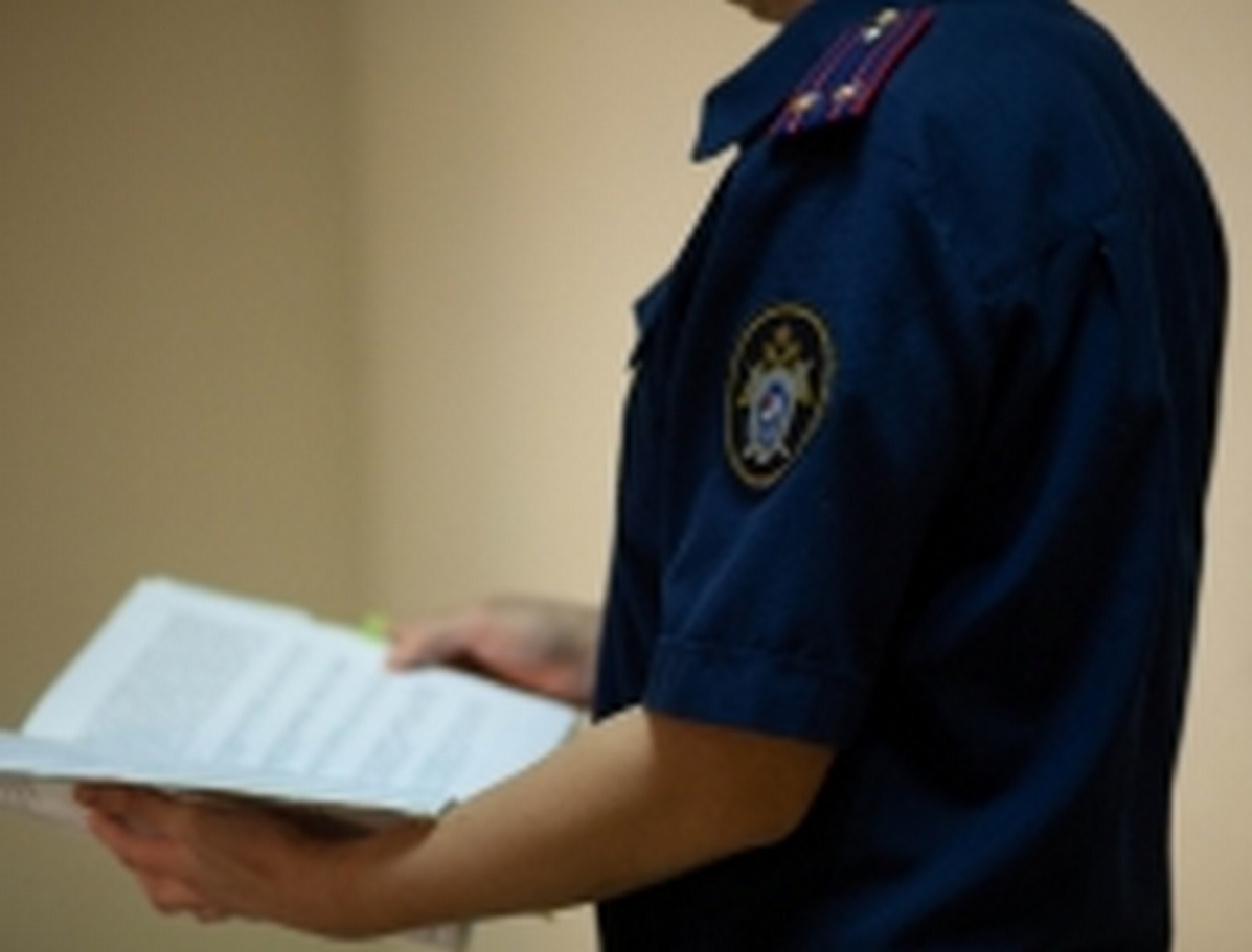 Фото: СУ СКР по Челябинской области  