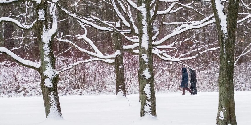    Алёна Бобрович