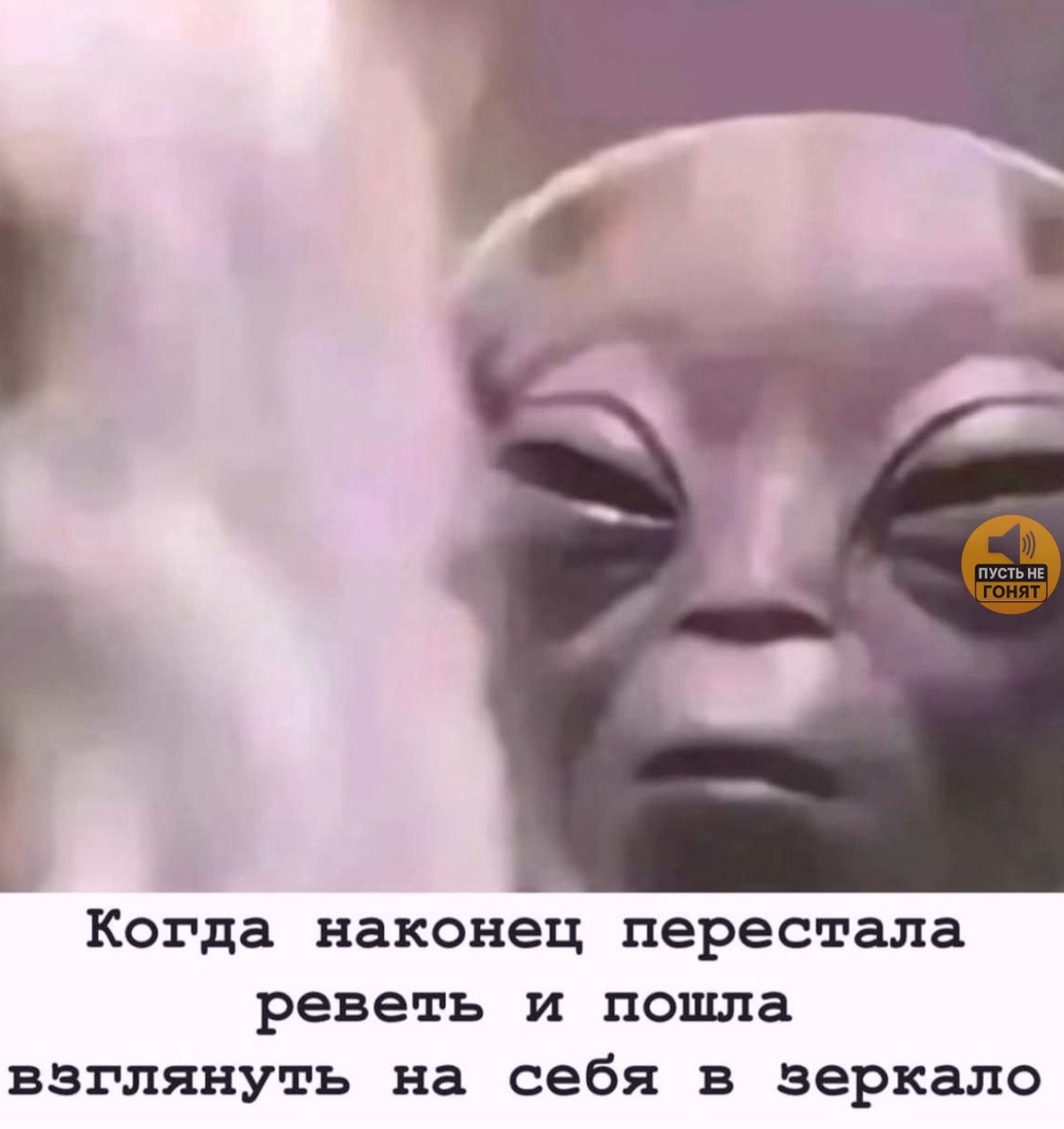 Смех из социальных сетей! Забавные шутки, забавные случаи и веселые рассказы. Фото взято из общедоступных ресурсов соцсетей.