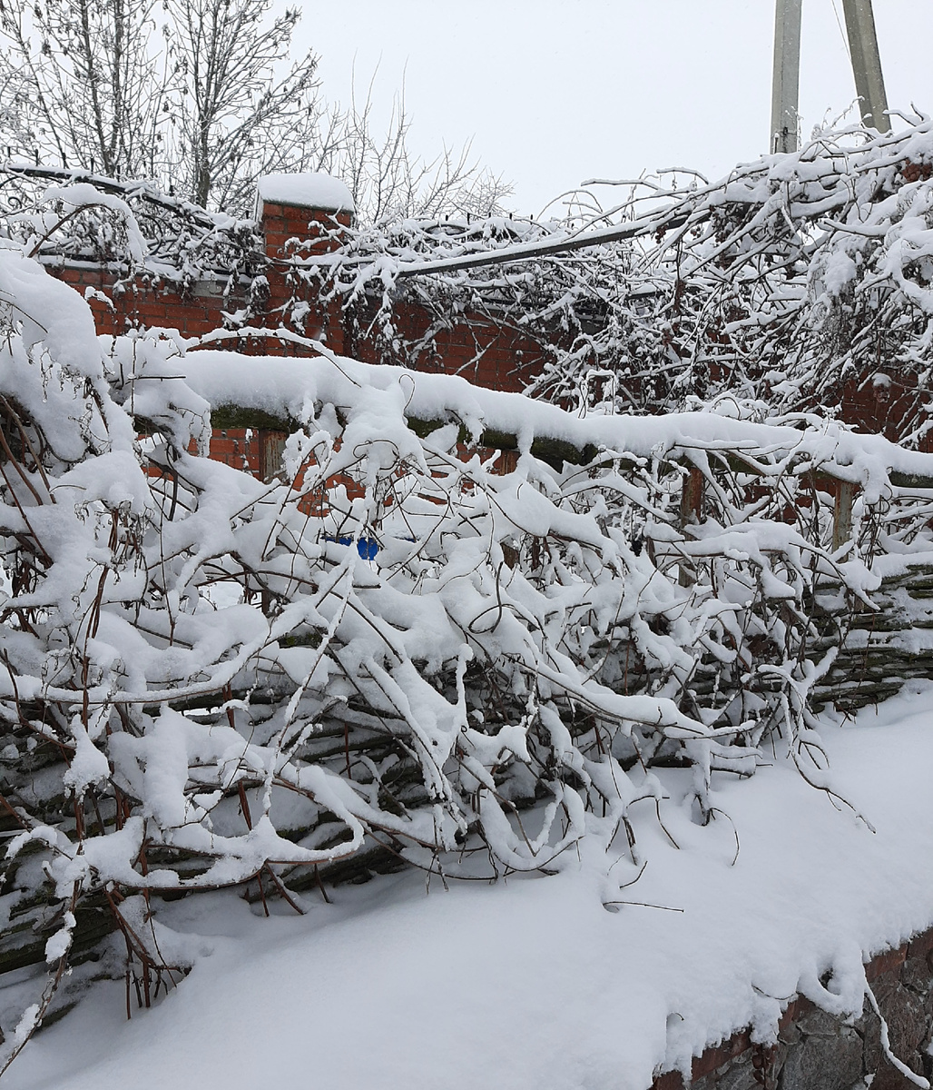 В деревне зима красивее, чем в городе