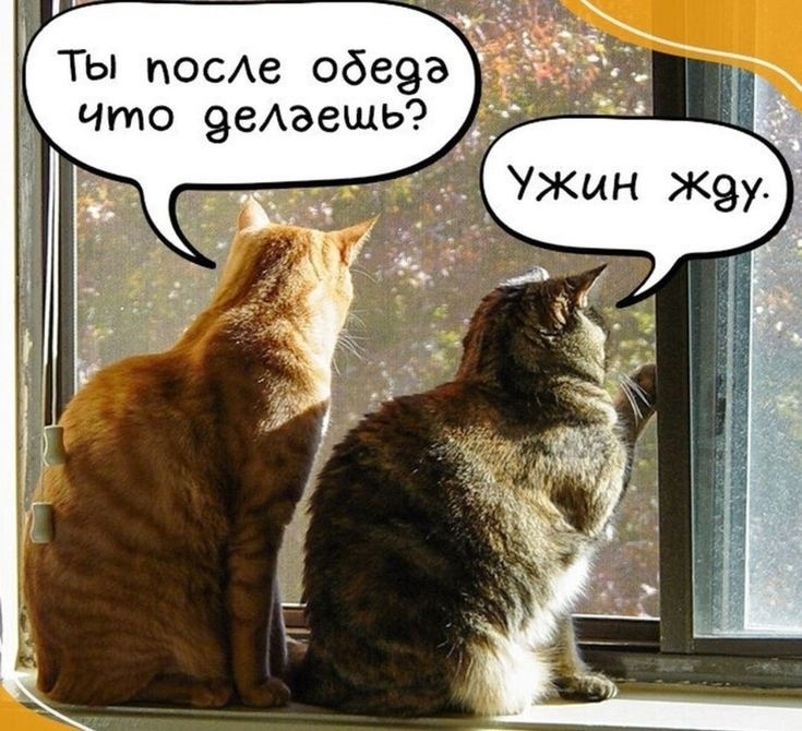 Смех из социальных сетей! Забавные шутки, забавные случаи и веселые рассказы. Фото взято из общедоступных ресурсов соцсетей.