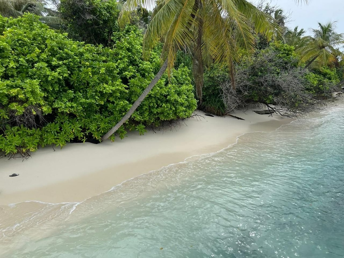     Фото: Бриф24