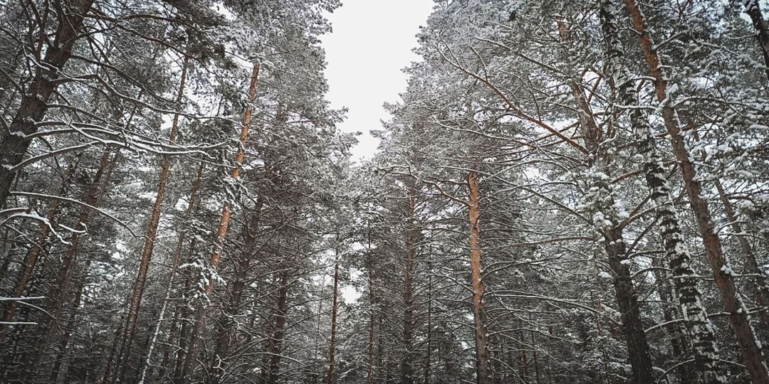 Морозы до -33 ожидаются в Карелии