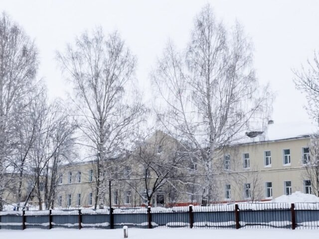    Фото: ТАСС/Александр Алтури