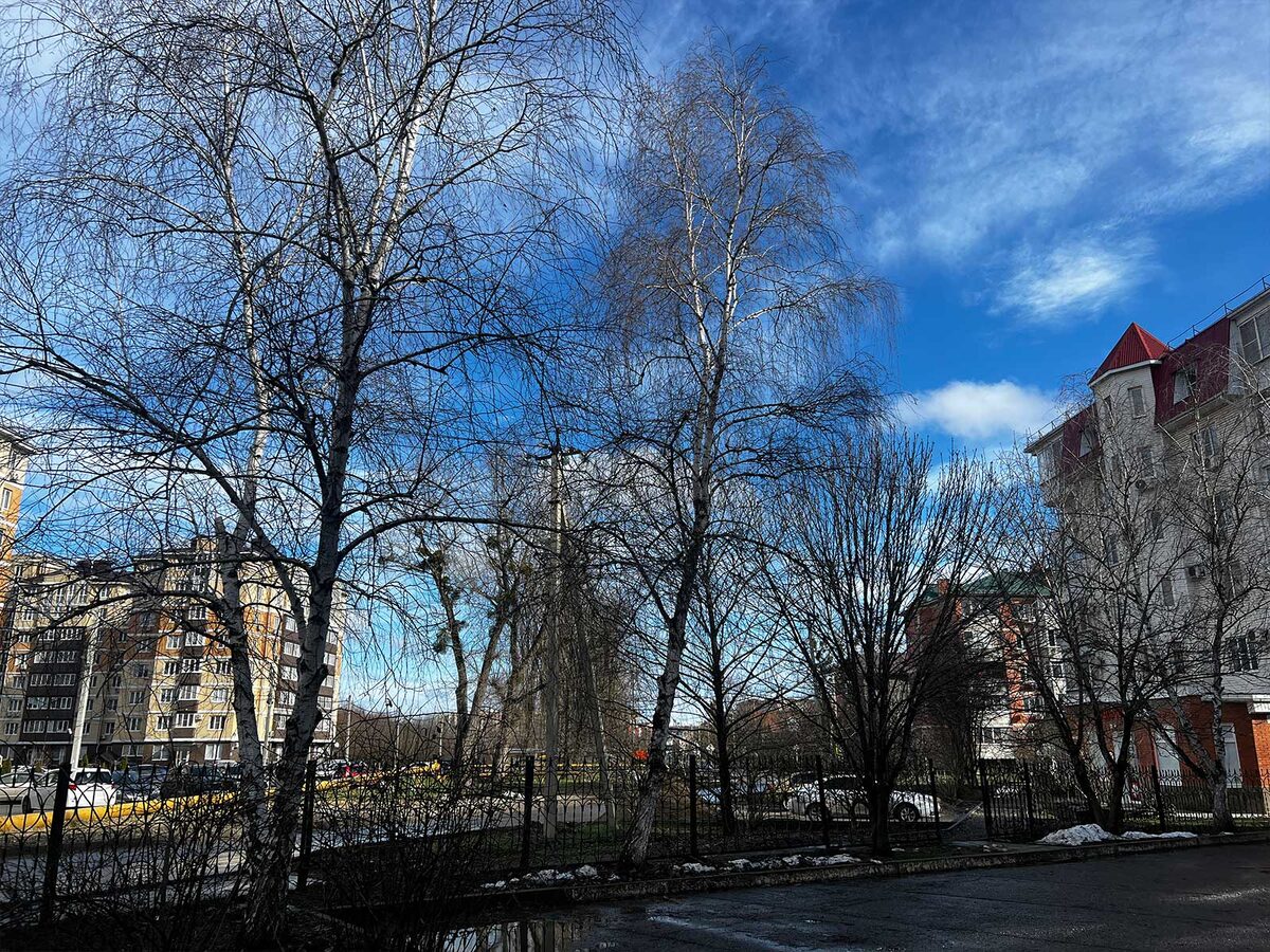 Почти весна в отдельном городе