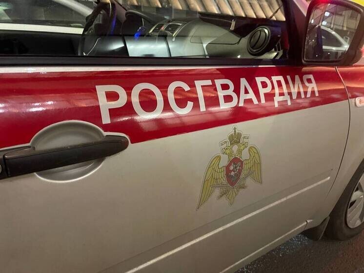     Сейчас под защитой городских и областных управлений Росгвардии находятся более 16 тысяч объектов. Фото: архив МК в Питере