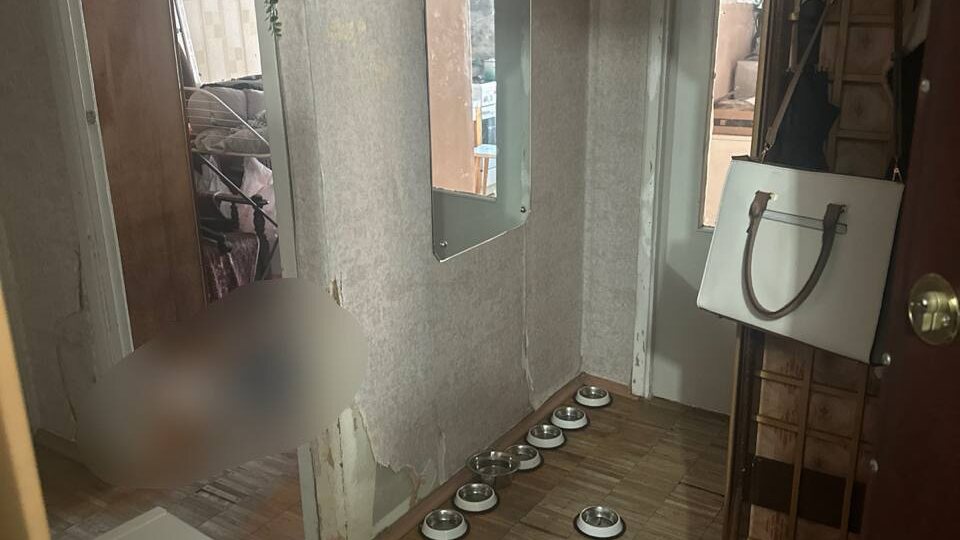 Девушку, найденную мертвой юго-востоке Москвы, задушил ее бывший молодой человек